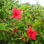 炭火焼肉たけさん亭 - 