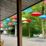 丸山珈琲  - カラフルな傘が→