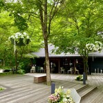 丸山珈琲  - 高い所のは造花で下のは本物の植物です