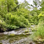 丸山珈琲  - 澄んだ川