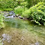 丸山珈琲  - 美しい川の流れ