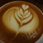 Cauda - きれいですね