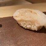 鮨 あい澤 - 牡丹海老