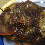 割烹 利助 - 円な瞳