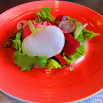 宇豆基野 - サラダ