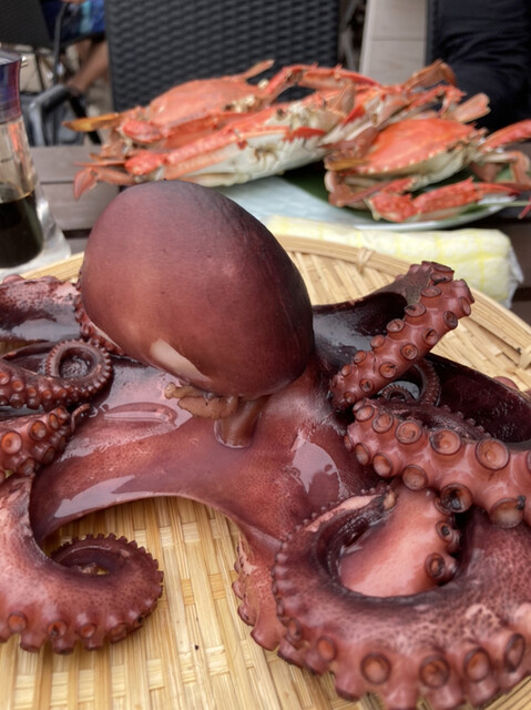 Lion Shokudo photo 2