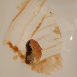 ベルエキップ - 烏龍茶のパンで全てのソースを掬い尽くす！
      全部綺麗なお皿となってた（笑）
      全部撮影したけど、
      空の皿ばかり鬱陶しいだろうから投稿止めといた