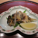 青華こばやし - 四万十鮎