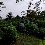 篝火の湯 緑水亭 - 庭園