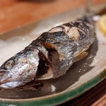 アナゴちらし小町 - タカベ塩焼き