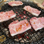 ホルモン焼き 炭商 - 