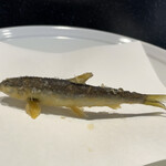 天ぷら  やました - 天ぷらやました(稚鮎)