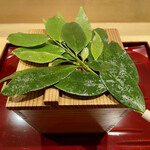 銀座 しのはら - 