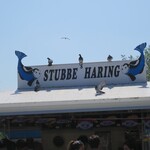 Stubbe's haring - 