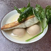 TRATTORIA CREATTA - 本日のお魚料理