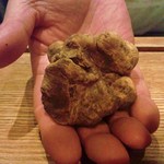 トラットリア フィオーレ - アルバ産白トリュフの登場！