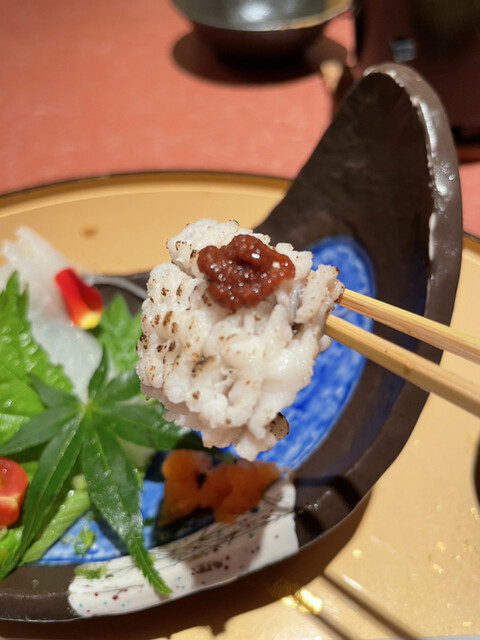 柊 山陽姫路 あなご 食べログ 柊 山陽姫路 あなご 食べログ