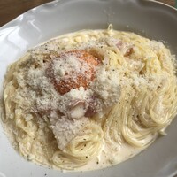 Trattoria VICINO -  Trattoria VICINO -