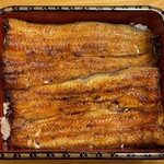 鰻はし本 - うな重ろ
