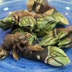 陸奥 こむらさき - 亀の手