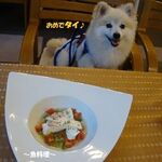CARO FORESTA北軽井沢リーオ - 《[Dog Menu]ＳＰＤ(ﾊｰﾌｻｲｽﾞ) 》♨～魚料理～