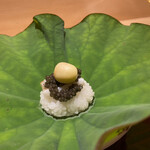 銀座 しのはら - 