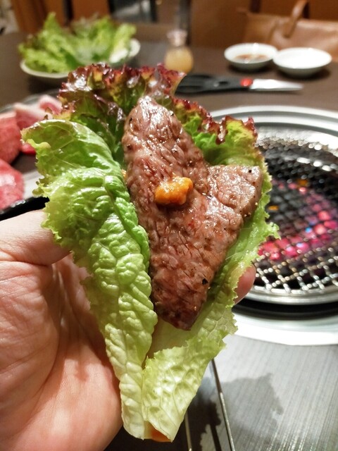 焼肉 わがんせ 本厚木 焼肉 ネット予約可 食べログ 焼肉 わがんせ 本厚木 焼肉 ネット予約可 食べログ