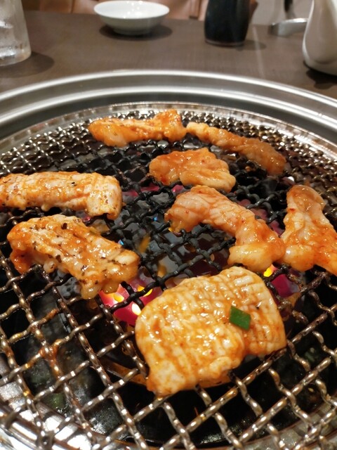 焼肉 わがんせ 本厚木 焼肉 ネット予約可 食べログ 焼肉 わがんせ 本厚木 焼肉 ネット予約可 食べログ