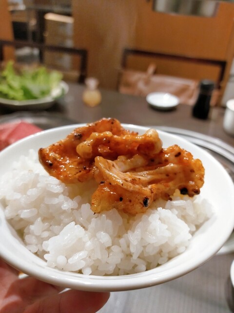 焼肉 わがんせ 本厚木 焼肉 ネット予約可 食べログ 焼肉 わがんせ 本厚木 焼肉 ネット予約可 食べログ