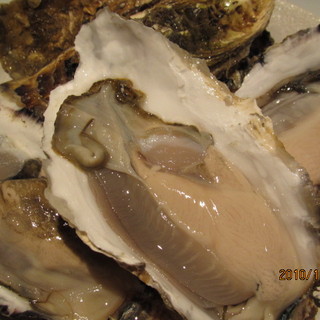 函館 開陽亭_2