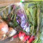 フレッシュ・クラブ - 野菜各種