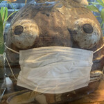 こうかいぼう - 