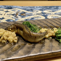 クリマ ディ トスカーナ - 郡上八幡 稚鮎コンフィ　焼きナス タイム 
                    頭から尾まで柔らかく、内臓の苦味に丸ナスの甘みととろっとした食感がなんて美味しい組合せなのでしょう！
                    この時期のお楽しみ、堪能しましたd(^_^o)