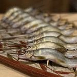 富小路 やま岸 - ピンの鮎\(//∇//)\