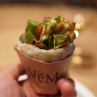 NeMo - できあがり