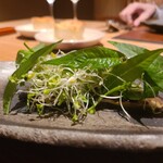 エノテカパージナ - 