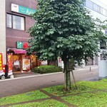 なか卯 - 店の外観を引いて撮影、手前の緑は駐車場です。なんだか無駄な作りのような気がしますね・・・北本市営駐車場ですが何故か芝をひいた駐車場が多いです。車で踏まれるだけなので、もったいない気がするのです。