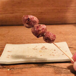 炭焼創彩鳥家 人見 - 