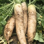 炭火焼専門食処 白銀屋 - 