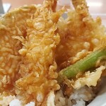 Tendon Tenya - 