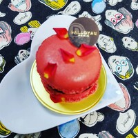 評価分布 ダロワイヨ レ マカロン 東武池袋店 池袋 マカロン 食べログ