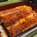 Unagi Fujita - 