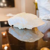 登喜和鮨 新発田本店 - 