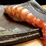 日本橋橘町　都寿司 - 大車海老