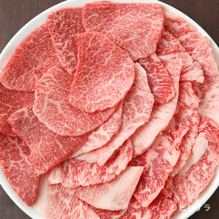 新横浜駅でおすすめの美味しい焼肉をご紹介 食べログ 新横浜駅でおすすめの美味しい焼肉をご紹介 食べログ