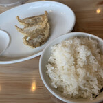 Ryo-ga EBISU - 