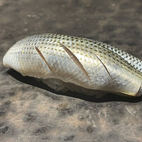 池袋 寿司 個室 空 - 江戸前　小肌