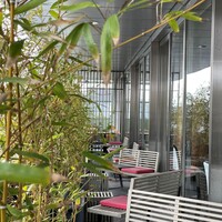 青山 星のなる木 - 