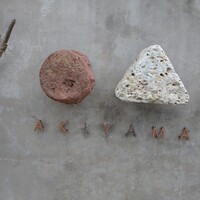 RESTAURANT AKIYAMA - 