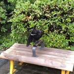 ラーメン二郎 - シカトカ~